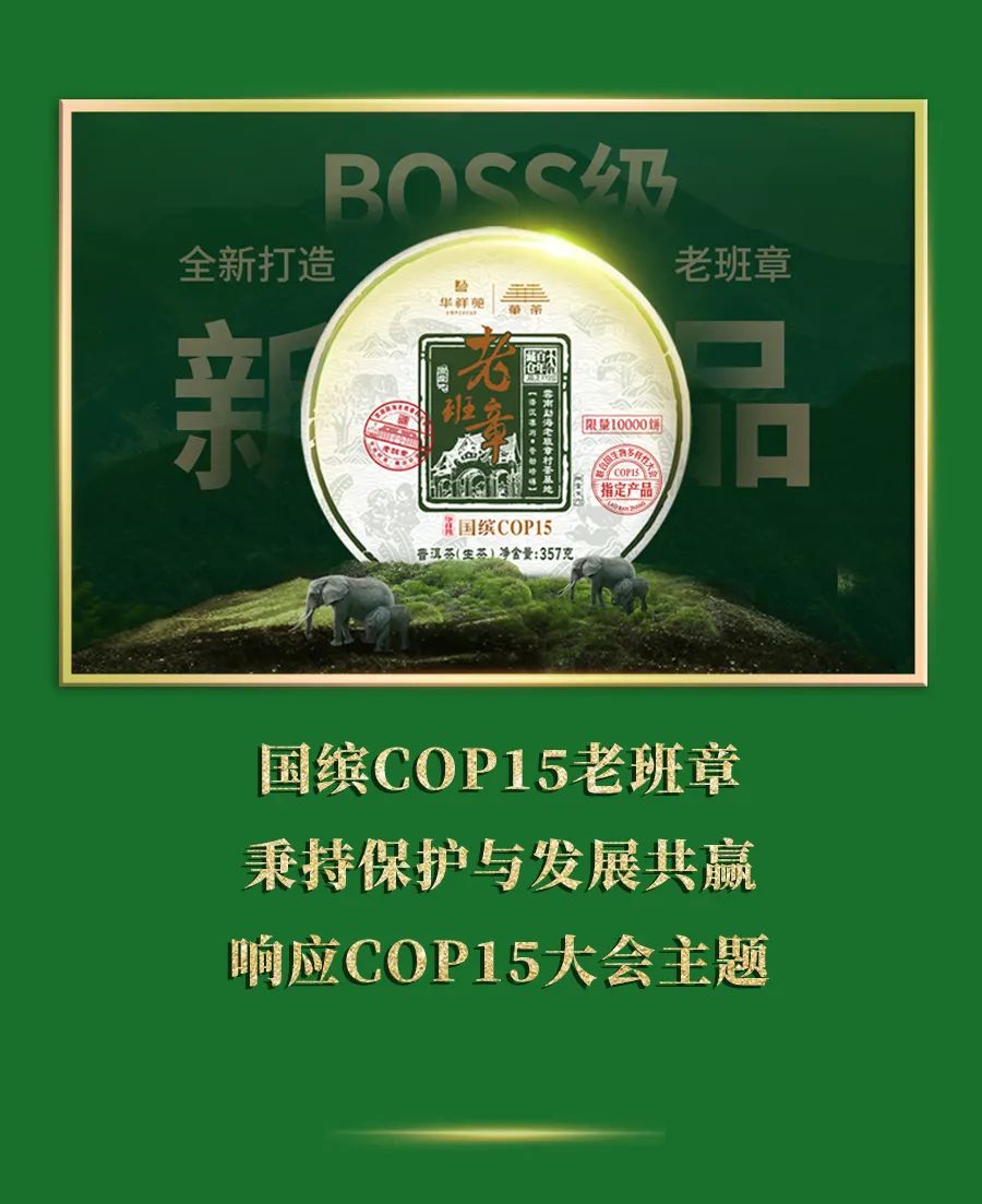 国缤COP15老班章