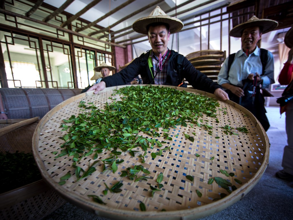 华祥苑茶之旅 